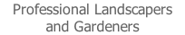 Professional Landscapers and Gardeners
